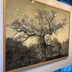 Eröffnung der Ausstellung mit Malerei und Fotografie