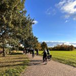 Workshop zur Weiterentwicklung der Kurmeile